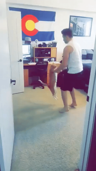 dance with cat
