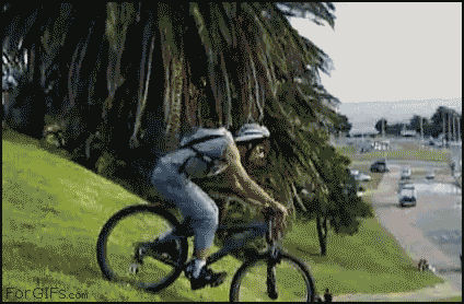 giphy (15)