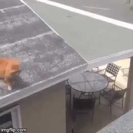 Не рассчитал