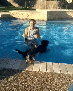 GrizzledWholeKid-size_restricted