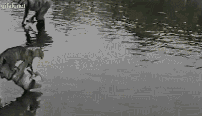 tumblr_ny5hl2B6jv1ukldkho1_400