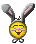 sm_rabbit5