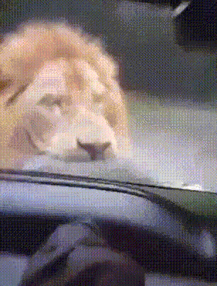 222