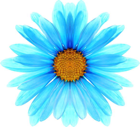 0_1b7d52_85ad72a9_orig