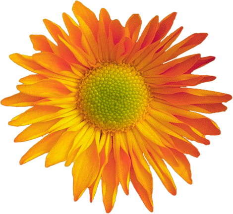 0_1b7d4a_2af1a589_orig