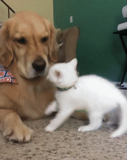 Спокойствие