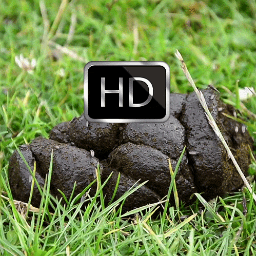 H4dqosq