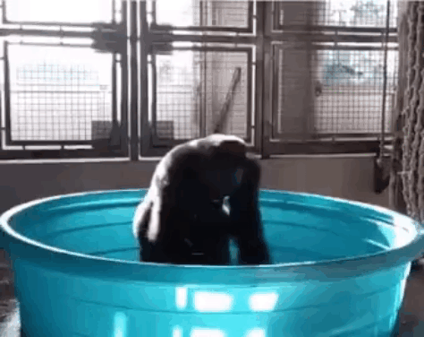 наконец-то дали горячую воду