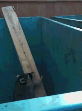 пытаешься вылезти из кучи проблем