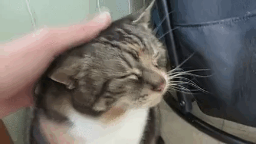 тебя поблагодорили, но как-то без души