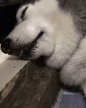 тебя резко разбудили и ты не понимаешь, что происходит