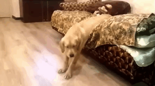 понедельника