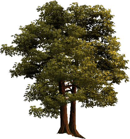 0_111a6a_c94271f3_orig