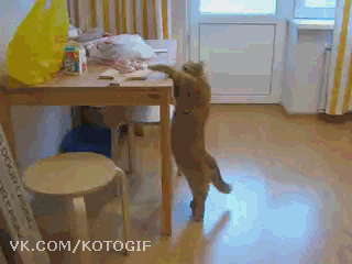 1365704322_1364413154_yapfiles.ru_yapfiles.ru[3]_thumb[1]