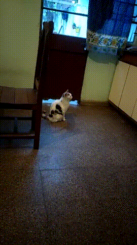 21bdb4afa7f2ae906d9c473482780d7a_142930_1501798177