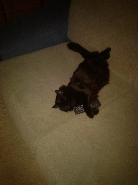 14479802_582437538633020_5766826790652281061_n