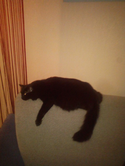 16002848_624900807720026_6435192571270615936_n