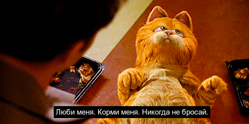 Garfild_Z (2)