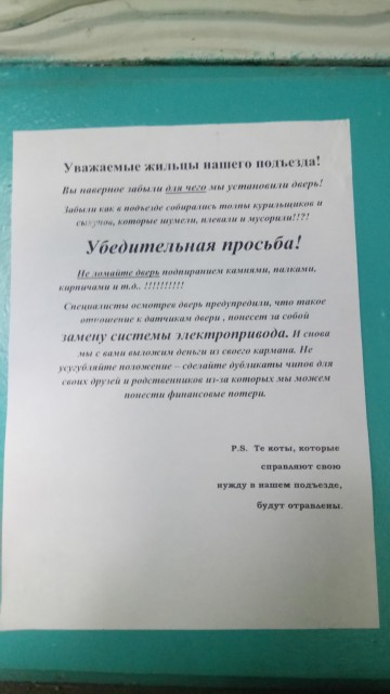 Коты