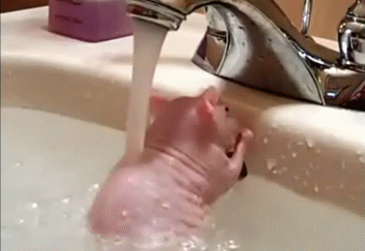 95e9110962f13c2b39270b1d16edff59