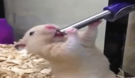 8d66436d3aeca0c8f9b28ef8e1afc420