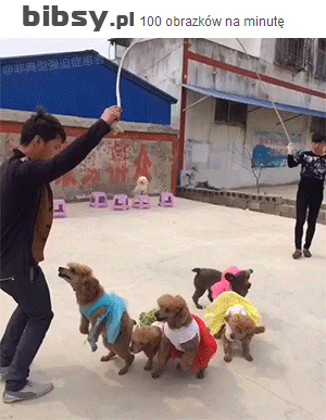 Синхронисты