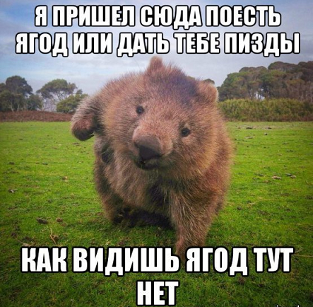 1503474073114912646