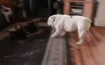 IMG_20170819_220123_84