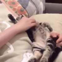 Пора вставать