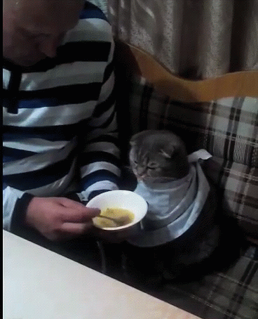 Барин обедает