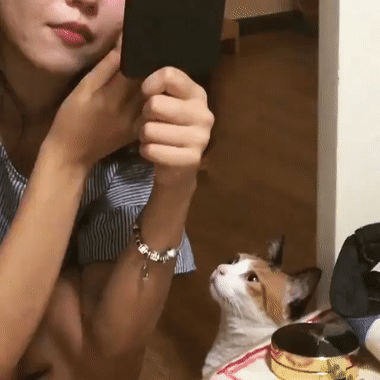 Восхищение