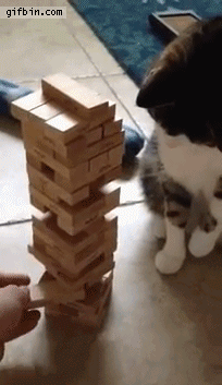 _cat_playing_jenga