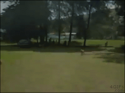 Боевой вылет