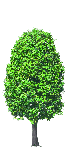 0_18eca6_1e238995_orig