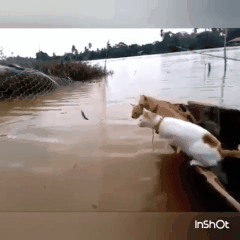 Рыболовецкая артель