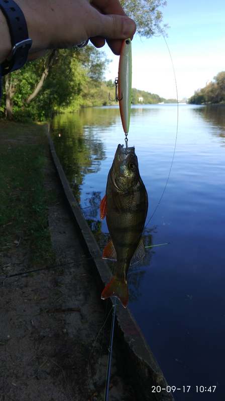 IMG_20170920_104746_1