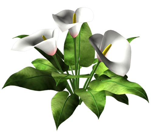 0_10dd6d_e566c30d_orig