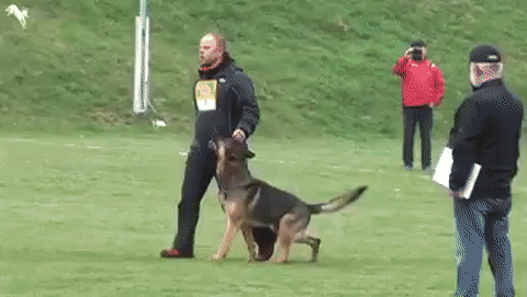 ezgif.com-video-to-gif (7)