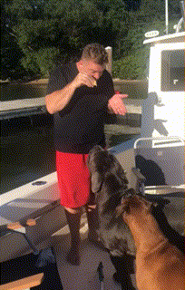 daily_gifdump_1437_10