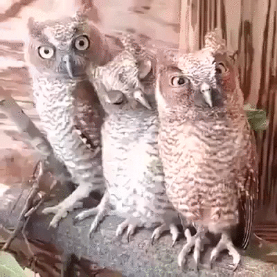 1 Утро. Планёрка.