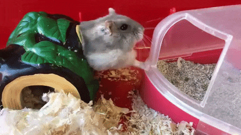 18 Просто кто-то очень много кушает...