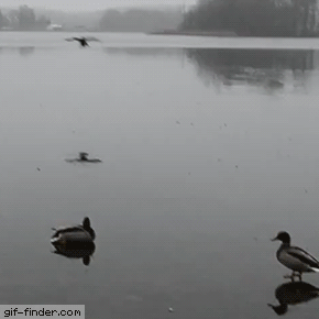 f0d72fb67484e8d6a50183a17fdfcb4c