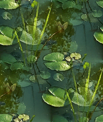 228 После выходного