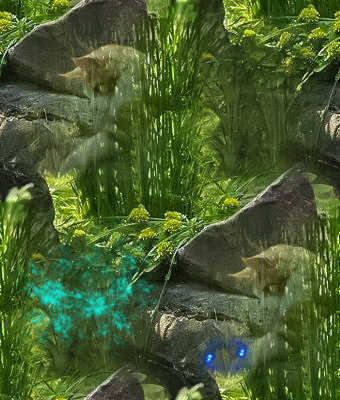 312 Ох эти бабочки