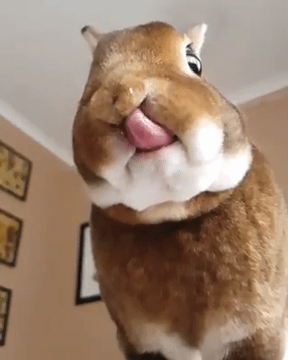 Кроль король