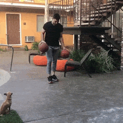 Цирк и только