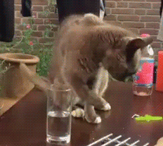 e64023fa03a7f17c51cd61c3af680d12