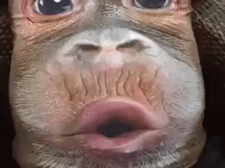 Хахаха