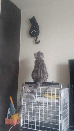 Синхронизатор