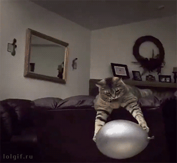 115b61699ea332f11b9c81defe0e444d